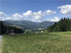 IMG_3190