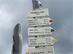 IMG_3381