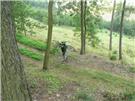 img00038