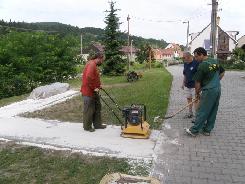 P8050030